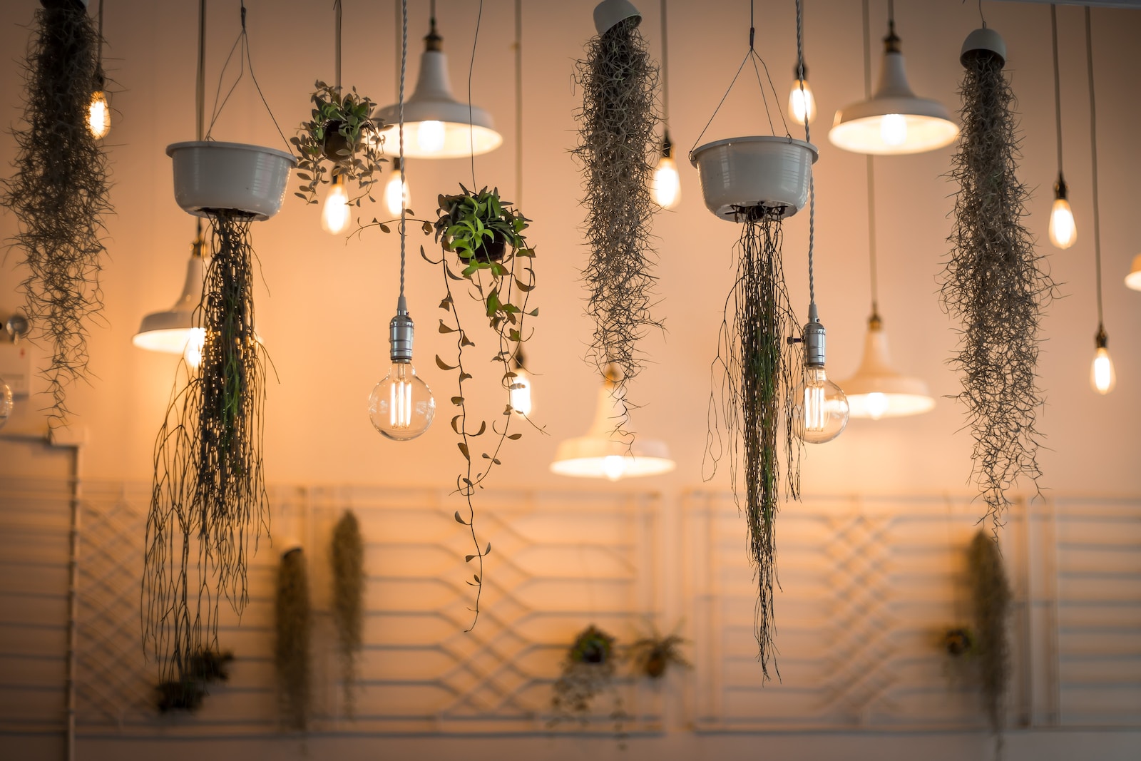 modern style lighting with plants